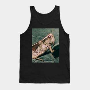 Grasshopper Climbing Green Leaf Macro Photograph Tank Top